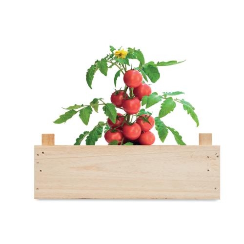 Tomatenkweekset  houten kratje wood