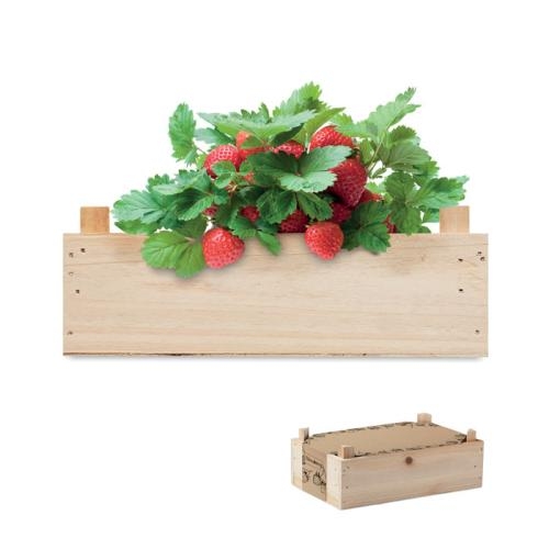 Aardbeienpakket in houten krat wood