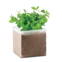 Compost met mint zaadjes