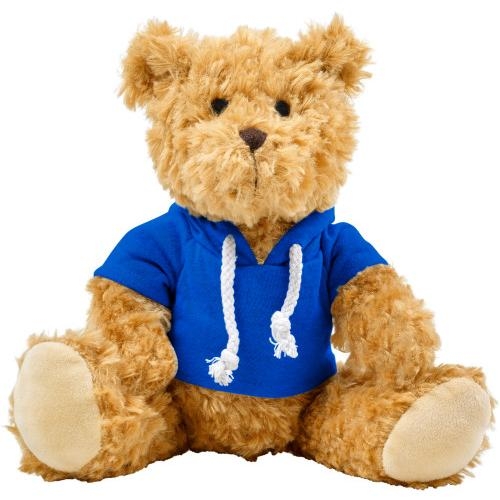 Pluche teddybeer met hoodie